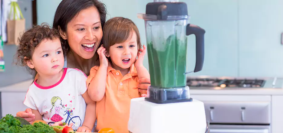 Juicer and Mixer Blender Repair in Chelmsford